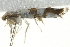  ( - 10BBCLP-2068)  @12 [ ] CreativeCommons - Attribution (2011) CBG Photography Group Centre for Biodiversity Genomics