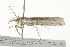  ( - 10BBCLP-2091)  @12 [ ] CreativeCommons - Attribution (2011) CBG Photography Group Centre for Biodiversity Genomics