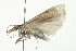  ( - 10BBCLP-2092)  @12 [ ] CreativeCommons - Attribution (2011) CBG Photography Group Centre for Biodiversity Genomics