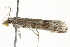  ( - 10BBCLP-2285)  @12 [ ] CreativeCommons - Attribution (2011) CBG Photography Group Centre for Biodiversity Genomics