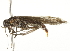  ( - 10BBCLP-2389)  @12 [ ] CreativeCommons - Attribution (2011) CBG Photography Group Centre for Biodiversity Genomics