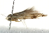  ( - 10BBCLP-2668)  @12 [ ] CreativeCommons - Attribution (2011) CBG Photography Group Centre for Biodiversity Genomics