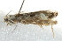  ( - 10BBCLP-2680)  @13 [ ] CreativeCommons - Attribution (2011) CBG Photography Group Centre for Biodiversity Genomics