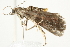  ( - 10BBCLP-2689)  @12 [ ] CreativeCommons - Attribution (2011) CBG Photography Group Centre for Biodiversity Genomics