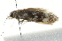  ( - 10BBCLP-2714)  @12 [ ] CreativeCommons - Attribution (2011) CBG Photography Group Centre for Biodiversity Genomics