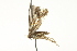  ( - 10BBCLP-2915)  @13 [ ] CreativeCommons - Attribution (2011) CBG Photography Group Centre for Biodiversity Genomics