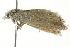  ( - 10BBCLP-2967)  @13 [ ] CreativeCommons - Attribution (2011) CBG Photography Group Centre for Biodiversity Genomics