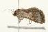  ( - 09BBELE-2078)  @12 [ ] CreativeCommons - Attribution (2010) Unspecified Centre for Biodiversity Genomics