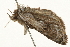  ( - 09BBELE-2115)  @12 [ ] CreativeCommons - Attribution (2010) Unspecified Centre for Biodiversity Genomics