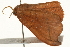  ( - 09BBELE-2345)  @12 [ ] CreativeCommons - Attribution (2010) Unspecified Centre for Biodiversity Genomics