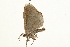  ( - 09BBELE-2395)  @12 [ ] CreativeCommons - Attribution (2010) Unspecified Centre for Biodiversity Genomics