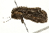  ( - 09BBELE-2419)  @12 [ ] CreativeCommons - Attribution (2010) Unspecified Centre for Biodiversity Genomics
