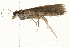  ( - 09BBELE-2427)  @12 [ ] CreativeCommons - Attribution (2010) Unspecified Centre for Biodiversity Genomics
