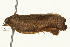  ( - 09BBELE-2564)  @12 [ ] CreativeCommons - Attribution (2010) Unspecified Centre for Biodiversity Genomics