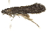  ( - 10BBCLP-3077)  @13 [ ] CreativeCommons - Attribution (2011) CBG Photography Group Centre for Biodiversity Genomics