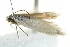  ( - 10BBCLP-3102)  @12 [ ] CreativeCommons - Attribution (2011) CBG Photography Group Centre for Biodiversity Genomics