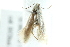  ( - 10BBCLP-3104)  @12 [ ] CreativeCommons - Attribution (2011) CBG Photography Group Centre for Biodiversity Genomics