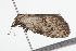  ( - 09BBLEP-04404)  @12 [ ] CreativeCommons - Attribution (2009) Unspecified Centre for Biodiversity Genomics