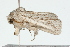  ( - 09BBLEP-01269)  @14 [ ] CreativeCommons - Attribution (2009) Unspecified Centre for Biodiversity Genomics