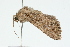  ( - 09BBLEP-01272)  @12 [ ] CreativeCommons - Attribution (2009) Unspecified Centre for Biodiversity Genomics