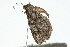  ( - 09BBLEP-01299)  @13 [ ] CreativeCommons - Attribution (2009) Unspecified Centre for Biodiversity Genomics