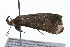 ( - 09BBLEP-01641)  @12 [ ] CreativeCommons - Attribution (2009) Unspecified Centre for Biodiversity Genomics