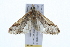  ( - 09BBLEP-00983)  @13 [ ] CreativeCommons - Attribution (2009) Unspecified Centre for Biodiversity Genomics