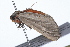  ( - 09BBLEP-00992)  @12 [ ] CreativeCommons - Attribution (2009) Unspecified Centre for Biodiversity Genomics