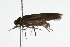  ( - 09BBLEP-01845)  @12 [ ] CreativeCommons - Attribution (2009) Unspecified Centre for Biodiversity Genomics
