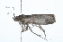  ( - 09BBLEP-01477)  @13 [ ] CreativeCommons - Attribution (2009) Unspecified Centre for Biodiversity Genomics