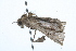  ( - 09BBLEP-01524)  @12 [ ] CreativeCommons - Attribution (2009) Unspecified Centre for Biodiversity Genomics