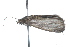  ( - 09BBLEP-01593)  @12 [ ] CreativeCommons - Attribution (2009) Unspecified Centre for Biodiversity Genomics