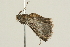  ( - 09BBLEP-02354)  @13 [ ] CreativeCommons - Attribution (2009) Unspecified Centre for Biodiversity Genomics