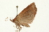  ( - 09BBLEP-02501)  @13 [ ] CreativeCommons - Attribution (2009) Unspecified Centre for Biodiversity Genomics