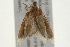  ( - 09BBLEP-02554)  @12 [ ] CreativeCommons - Attribution (2009) Unspecified Centre for Biodiversity Genomics