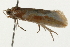  ( - 09BBLEP-02560)  @12 [ ] CreativeCommons - Attribution (2009) Unspecified Centre for Biodiversity Genomics
