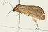  ( - 09BBLEP-02582)  @14 [ ] CreativeCommons - Attribution (2009) Unspecified Centre for Biodiversity Genomics
