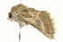  ( - 09BBLEP-02678)  @14 [ ] CreativeCommons - Attribution (2009) Unspecified Centre for Biodiversity Genomics