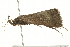  ( - 09BBLEP-02691)  @12 [ ] CreativeCommons - Attribution (2009) Unspecified Centre for Biodiversity Genomics