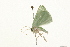  ( - 09BBLEP-02698)  @12 [ ] CreativeCommons - Attribution (2009) Unspecified Centre for Biodiversity Genomics