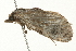  ( - 09BBLEP-02711)  @13 [ ] CreativeCommons - Attribution (2009) Unspecified Centre for Biodiversity Genomics