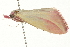  ( - 09BBLEP-02714)  @14 [ ] CreativeCommons - Attribution (2009) Unspecified Centre for Biodiversity Genomics