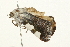  ( - 09BBLEP-02729)  @12 [ ] CreativeCommons - Attribution (2009) Unspecified Centre for Biodiversity Genomics