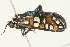  ( - 09BBLEP-02772)  @13 [ ] CreativeCommons - Attribution (2009) Unspecified Centre for Biodiversity Genomics