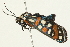 ( - 09BBLEP-02773)  @14 [ ] CreativeCommons - Attribution (2009) Unspecified Centre for Biodiversity Genomics