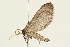  ( - 09BBLEP-02778)  @12 [ ] CreativeCommons - Attribution (2009) Unspecified Centre for Biodiversity Genomics