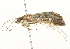  ( - 09BBLEP-02780)  @12 [ ] CreativeCommons - Attribution (2009) Unspecified Centre for Biodiversity Genomics