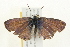  ( - 09BBLEP-02792)  @12 [ ] CreativeCommons - Attribution (2009) Unspecified Centre for Biodiversity Genomics