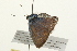  ( - 09BBLEP-02793)  @13 [ ] CreativeCommons - Attribution (2009) Unspecified Centre for Biodiversity Genomics