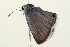  ( - 09BBLEP-02803)  @13 [ ] CreativeCommons - Attribution (2009) Unspecified Centre for Biodiversity Genomics